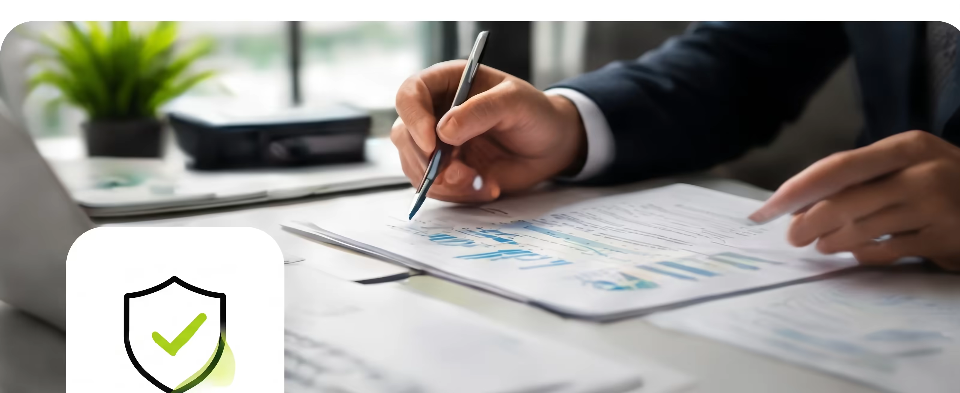 Fiscal Auditor